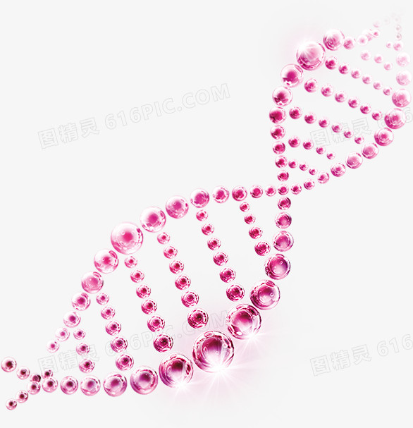 DNA