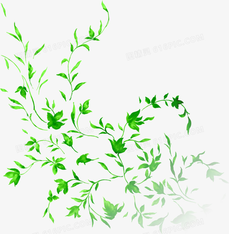 绿色清新卡通花藤植物