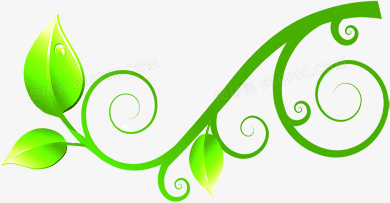 绿色手绘树叶水珠