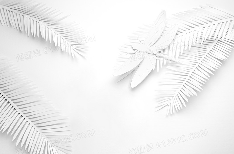 白色叶子蜻蜓植物昆虫