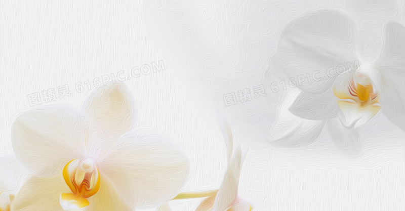 白色梦幻花朵首页海报
