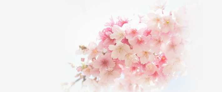 粉色花团