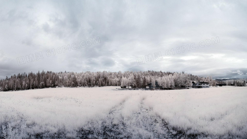 冬季促销白雪场景