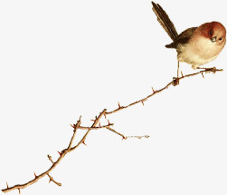 高清摄影冬天的树木小鸟