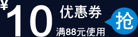 白色10元文字活动优惠券