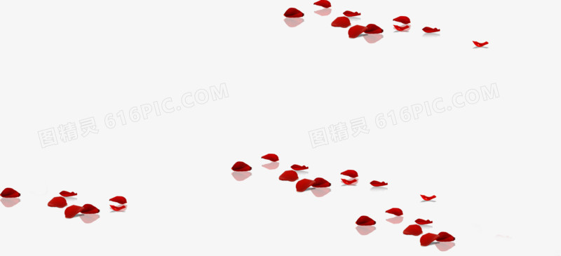 散落的红色玫瑰花瓣七夕情人节