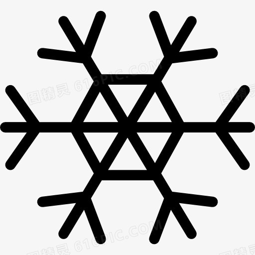 Snowflake 图标