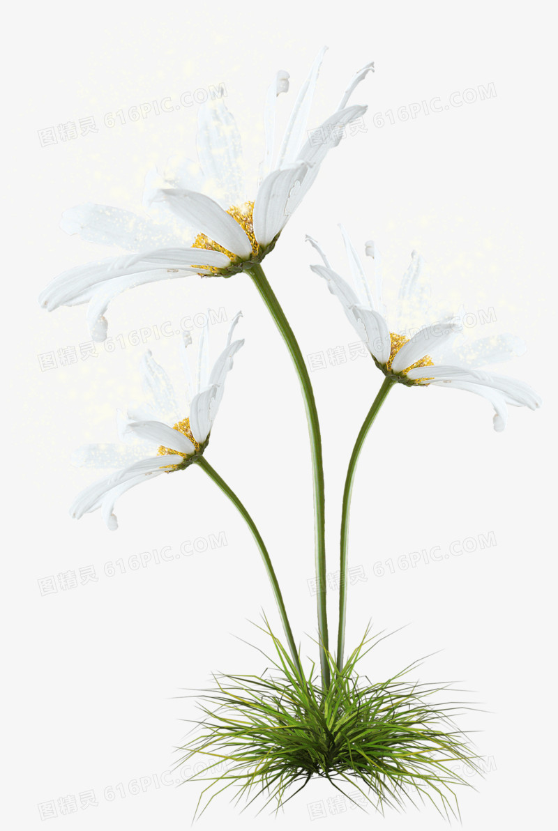 花丛