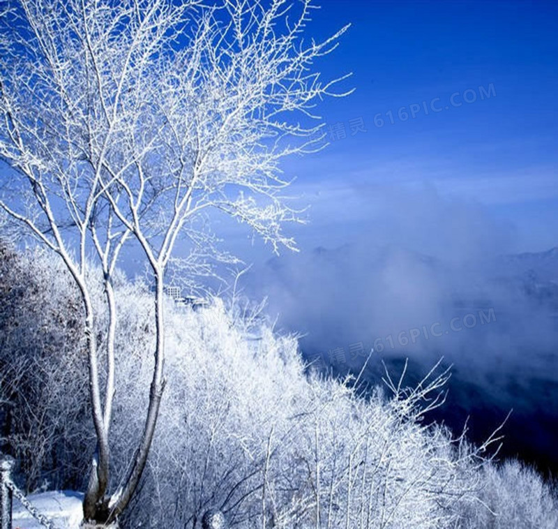 冬季雪景个人主页