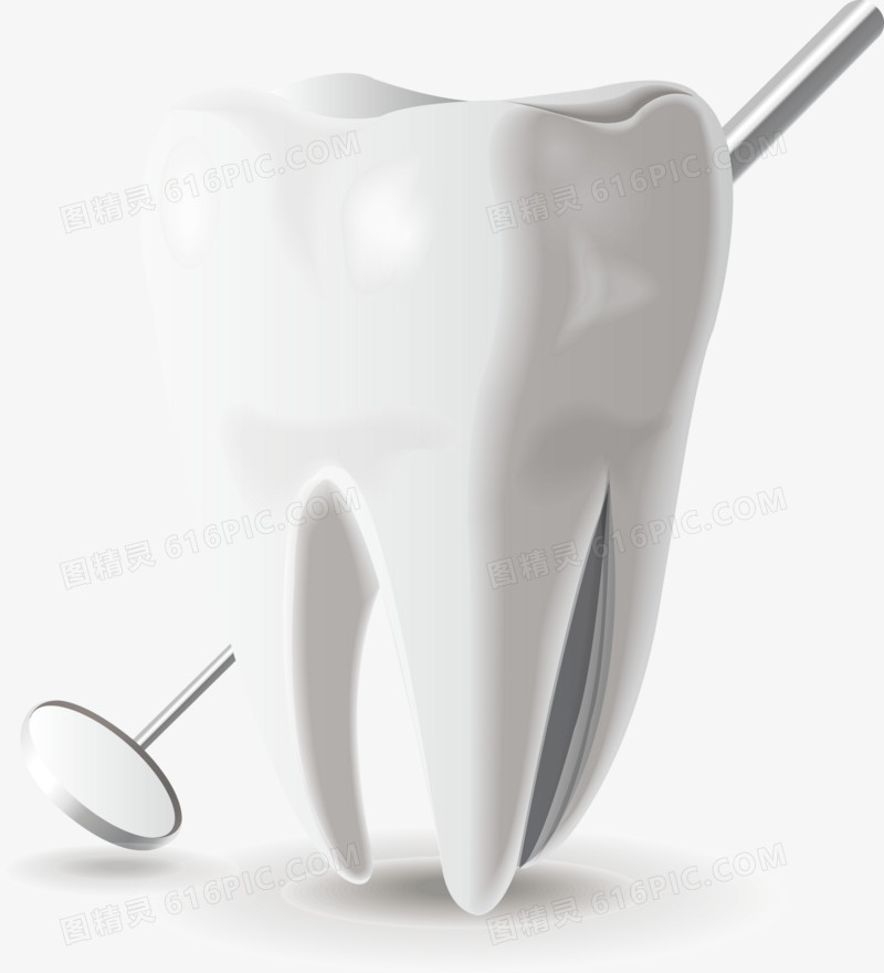 牙齿模型医疗图标