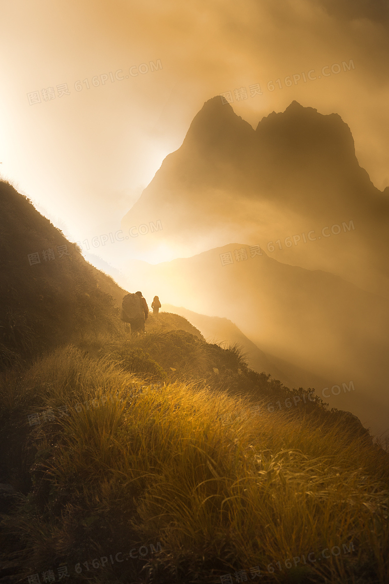 黄色迷雾高山山峦