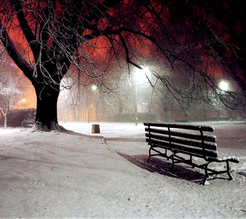 雪地夜晚大树座椅海报背景