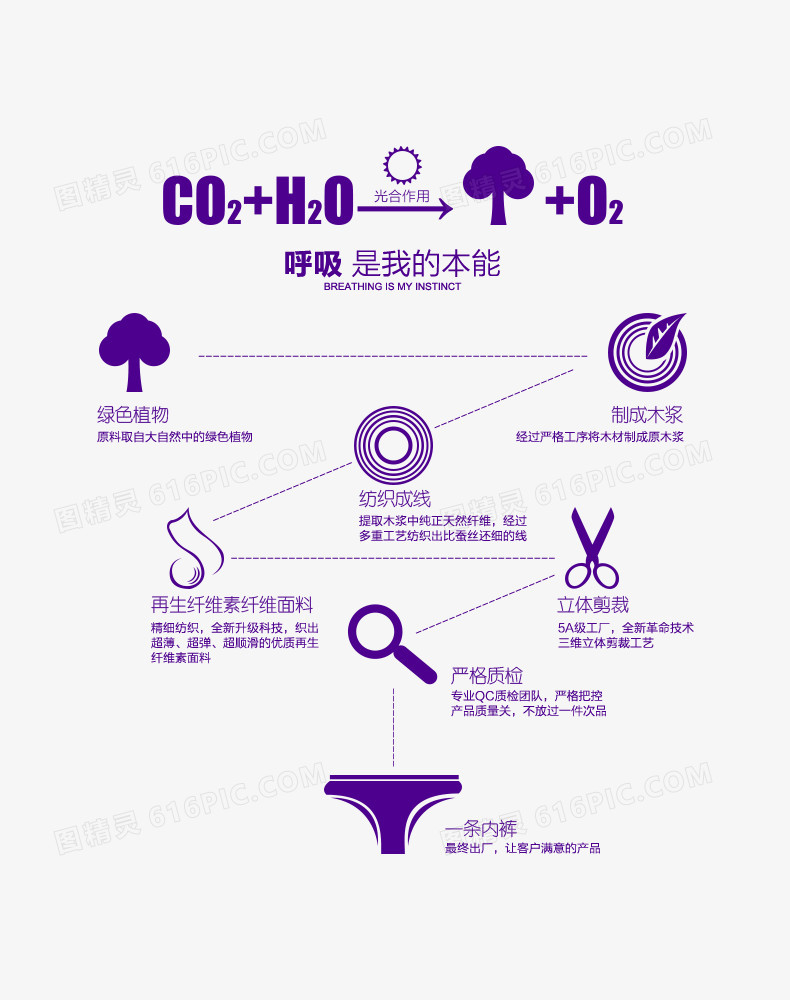 树到内裤流程图