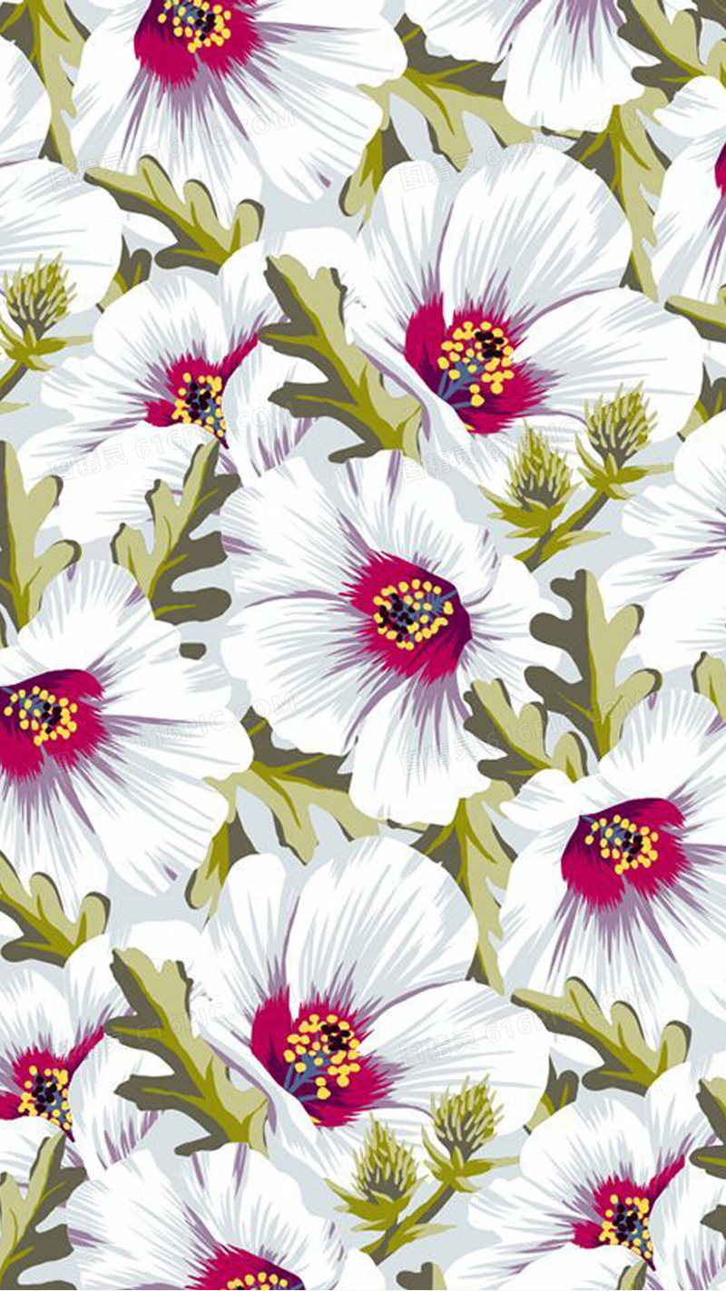 手绘插画白色花朵