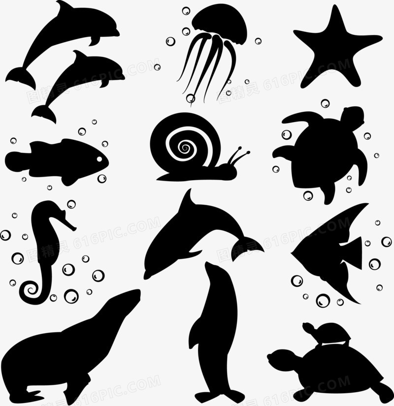 海豚海马海鱼剪影