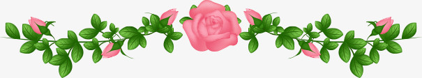 粉色手绘精致花藤玫瑰