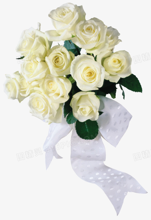 白色玫瑰花