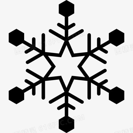 Snowflake 图标