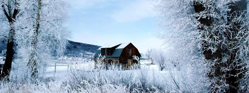 雪地背景