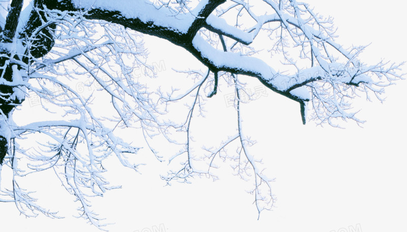 创意树枝雪景