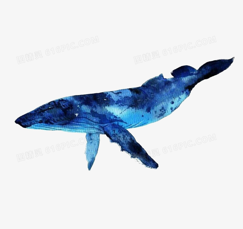 创意蓝色鲨鱼免抠素材