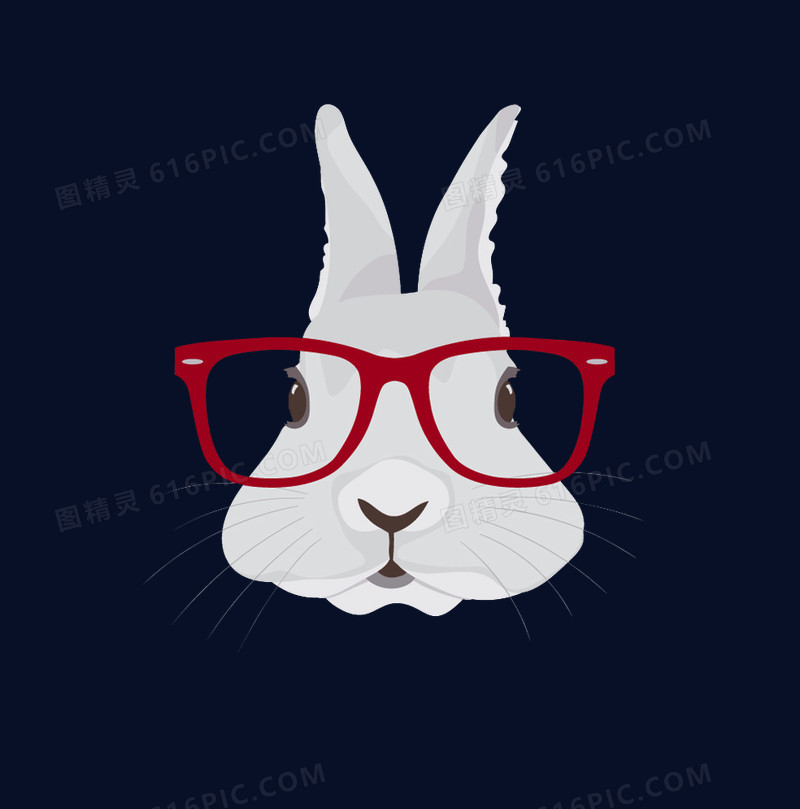 戴眼镜的兔子头