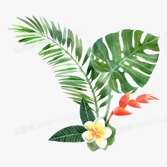 草 绿色植物