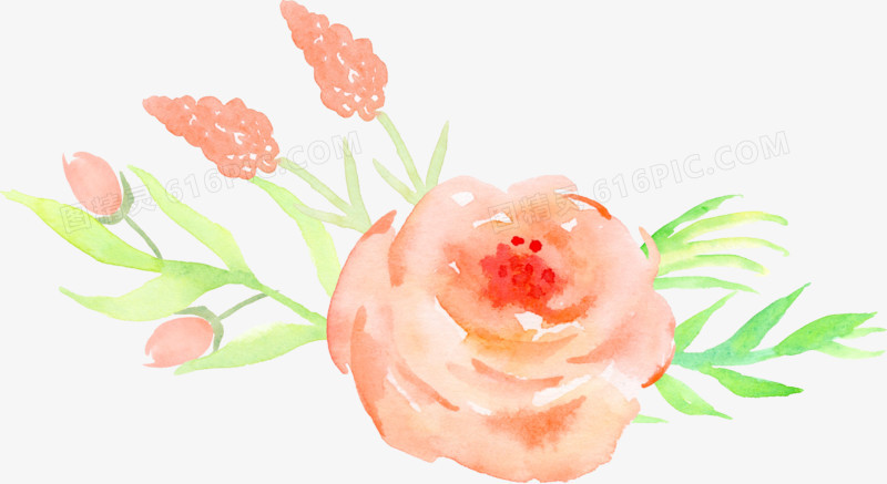 手绘水彩玫瑰花装饰元素