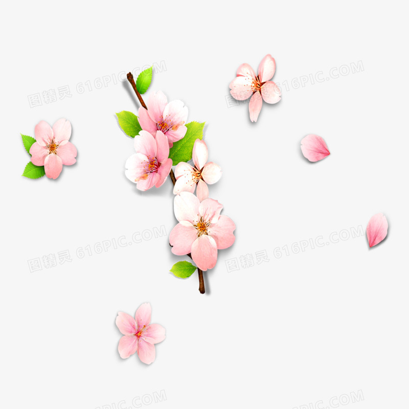 梅花