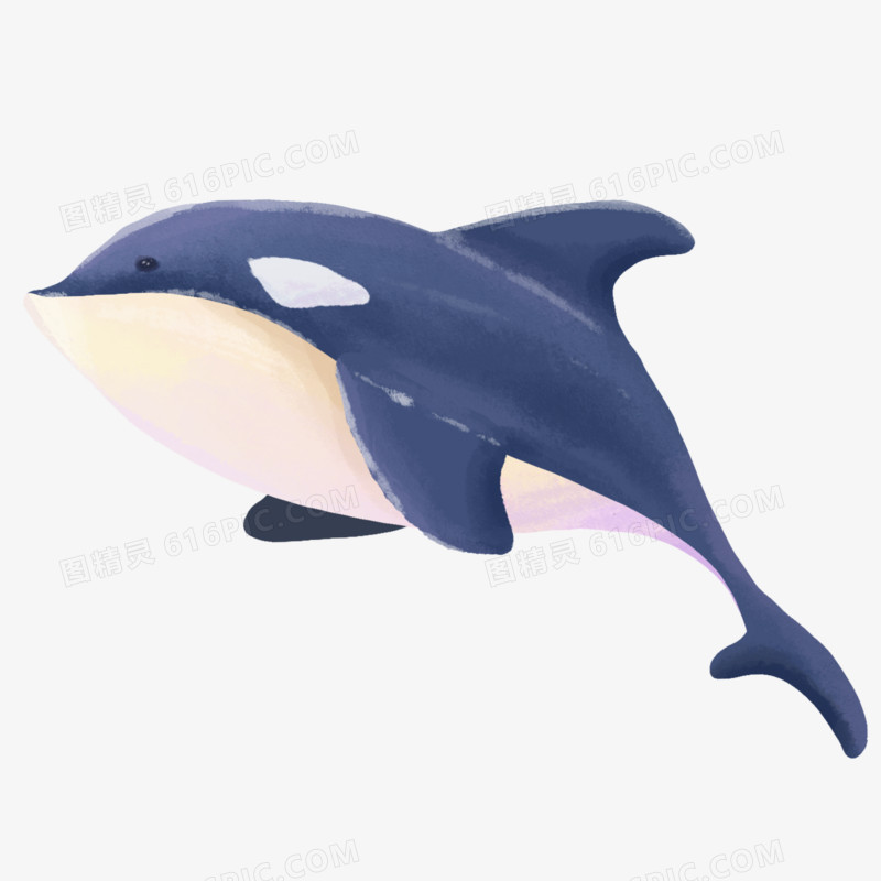 手绘蓝色虎鲸元素