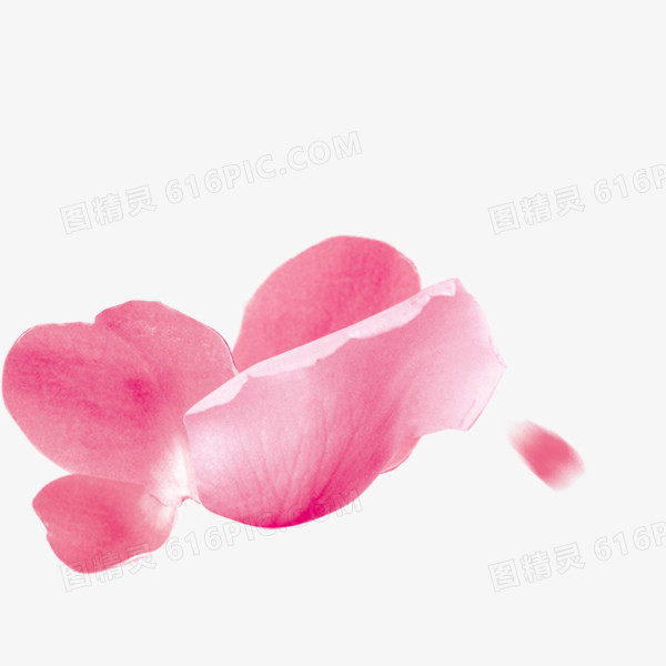 花瓣