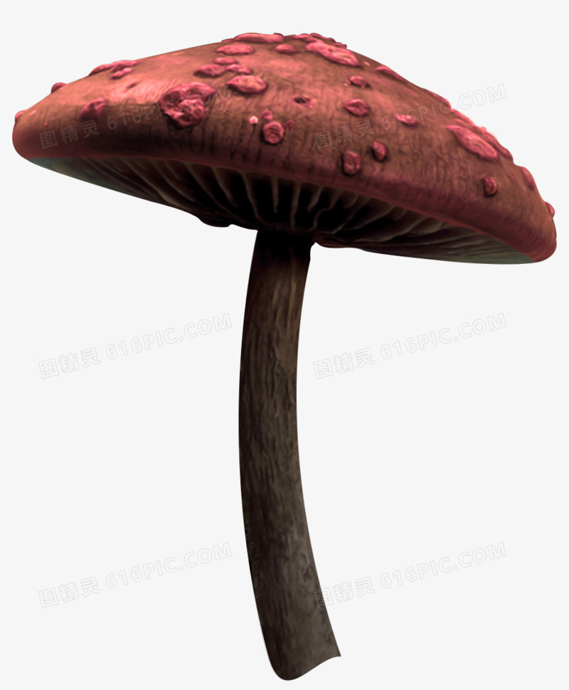 魔幻图片魔化气氛 蘑菇