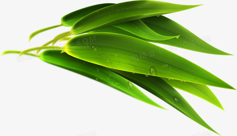 嫩绿清新竹叶植物