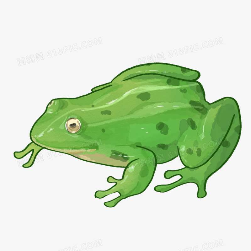 卡通手绘成年绿色青蛙免抠素材