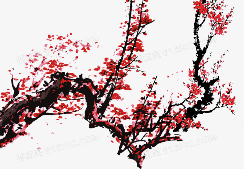 枝头腊梅红色冬季