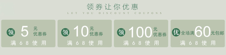 灰色简约绿色文字优惠券