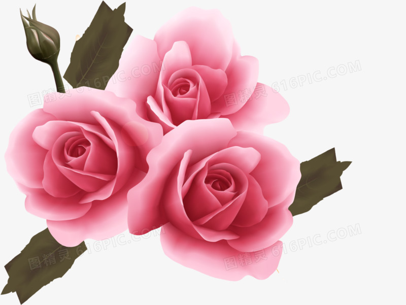 浪漫粉玫瑰