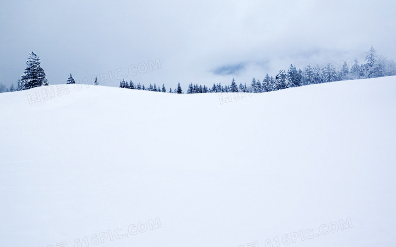 雪地室外场景森林