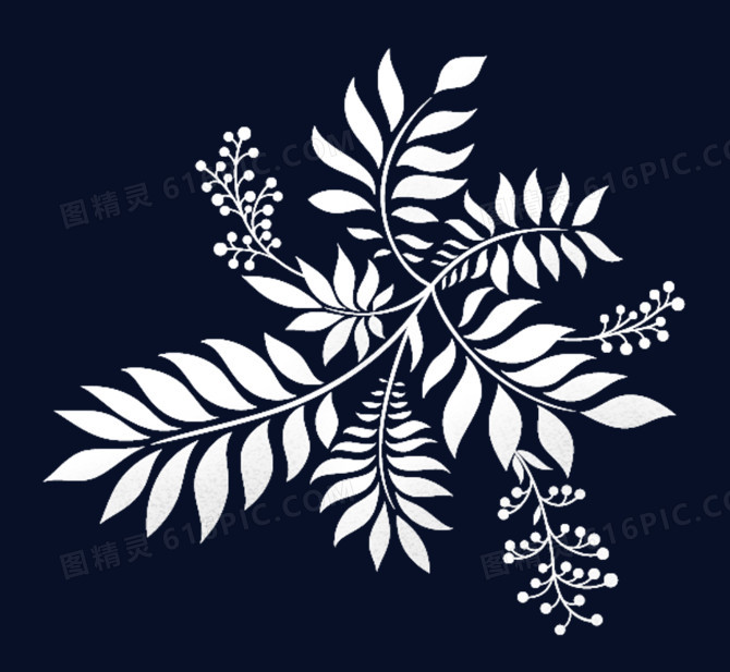白色透明叶子