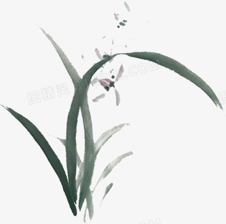 水墨花草