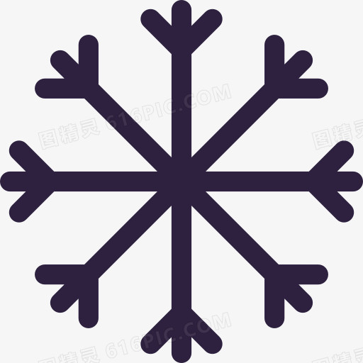 Snowflake 图标