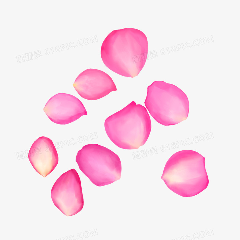 粉色散落的玫瑰花瓣装饰元素
