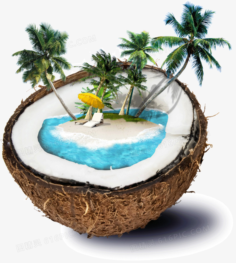 创意椰子上的海景