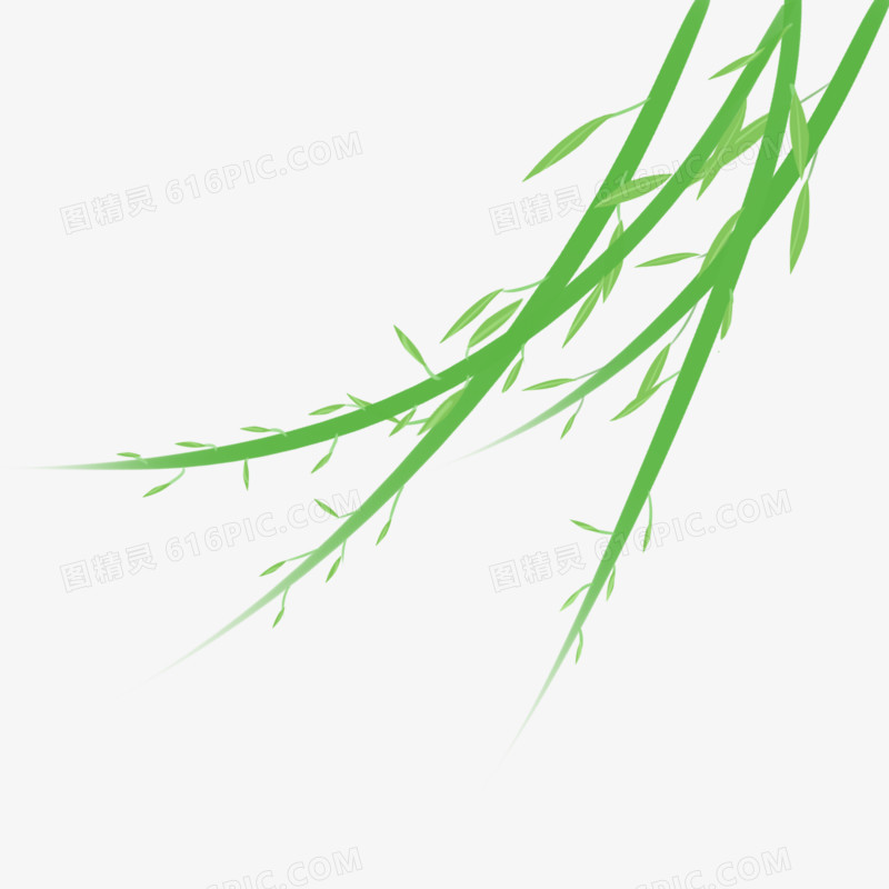 绿色植物柳树柳叶免抠装饰元素