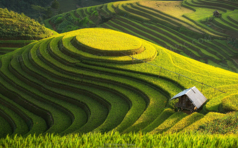 唯美丘陵梯田风景