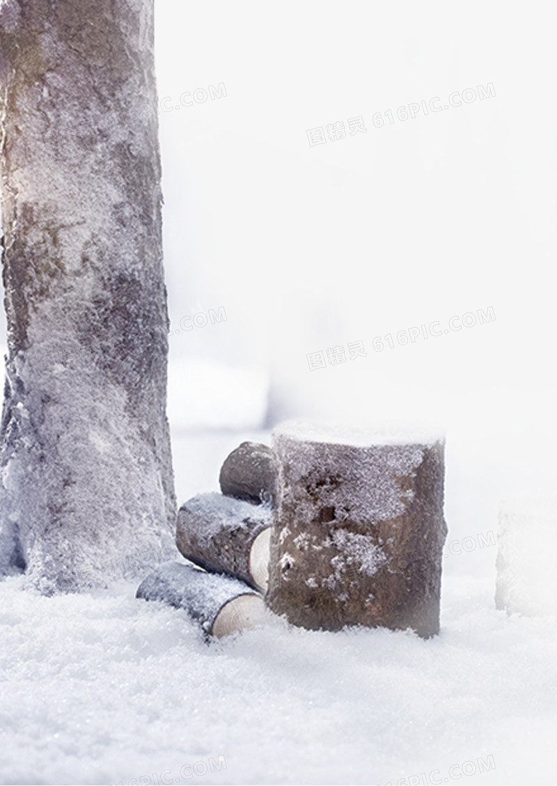 雪景中的树