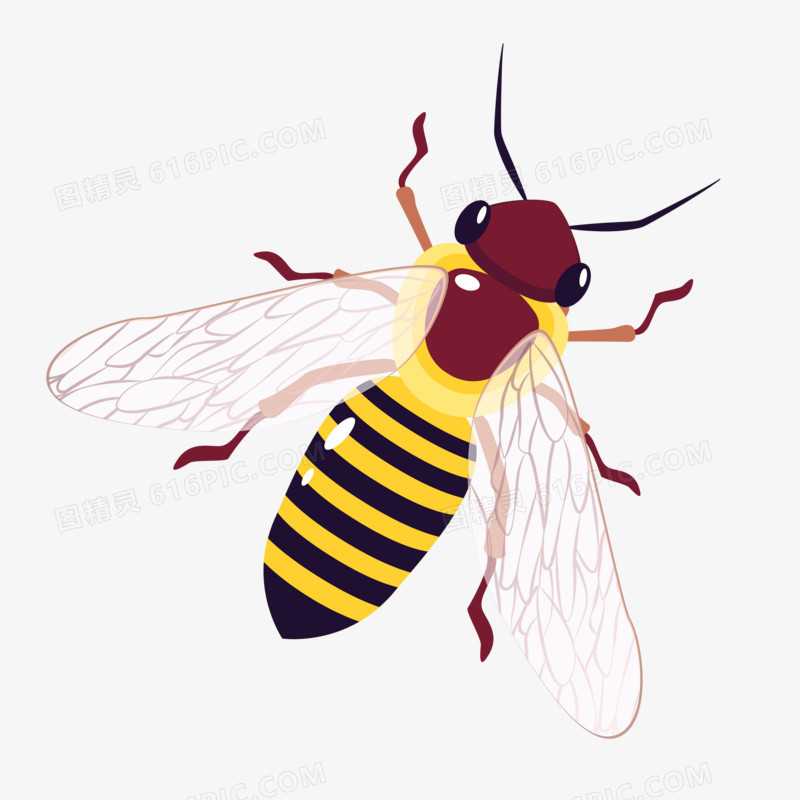 卡通手绘扁平矢量小蜜蜂免抠元素
