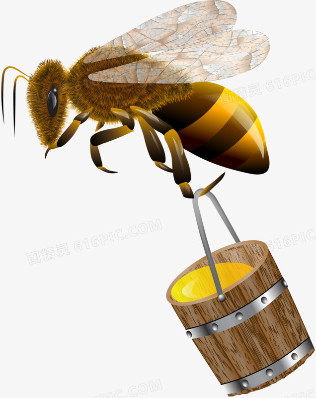 卡通手绘蜜蜂