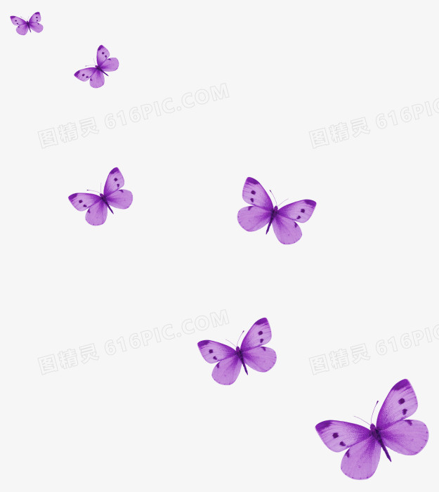 紫色蝴蝶图案