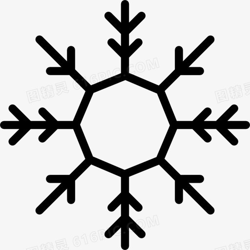 Snowflake 图标